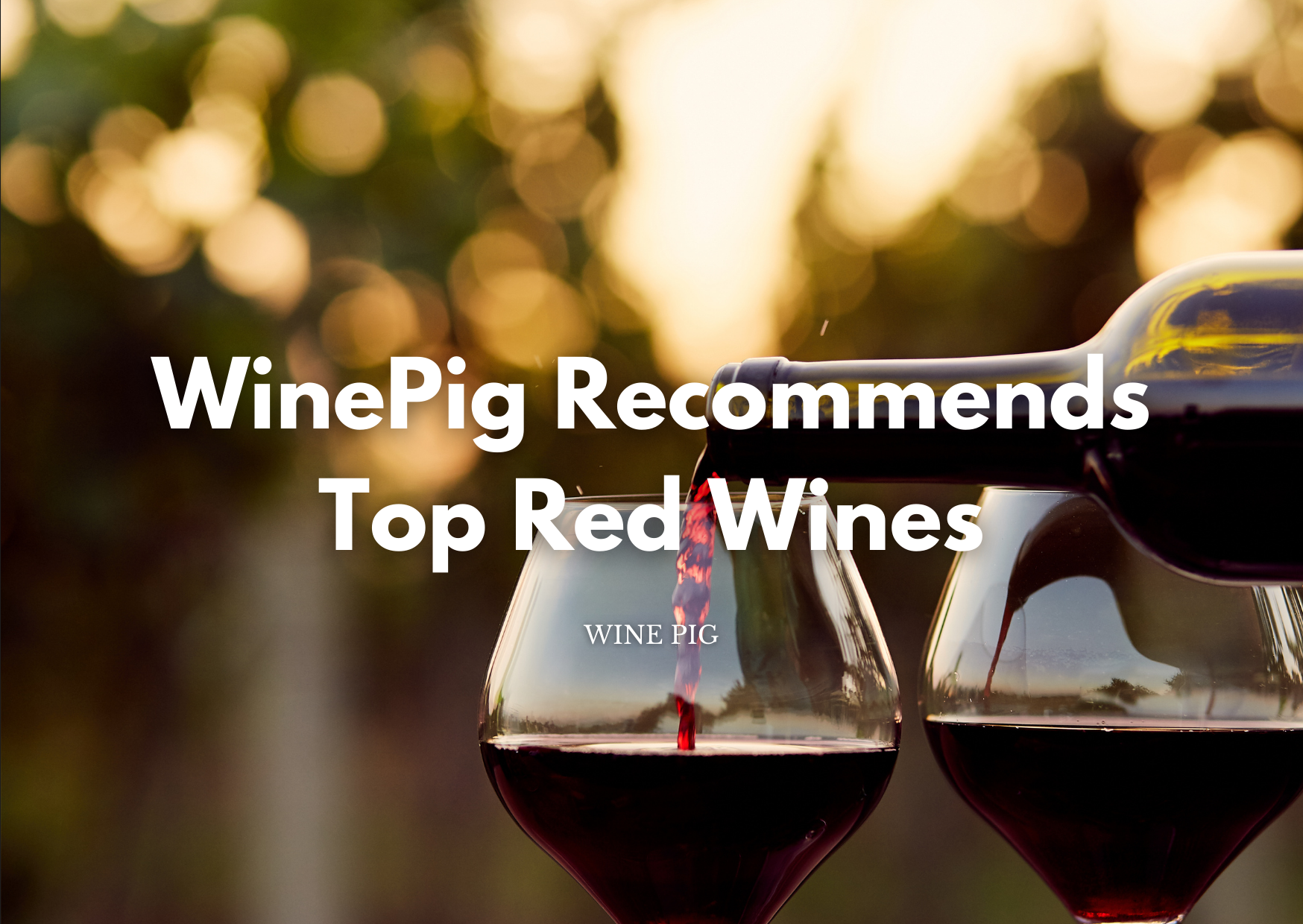 wine pig recommends